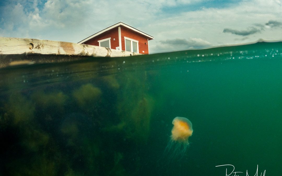 Undervattensbilder med GoPro 10